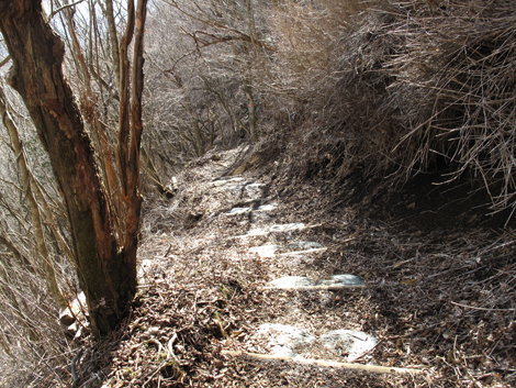 20160218hike (523)